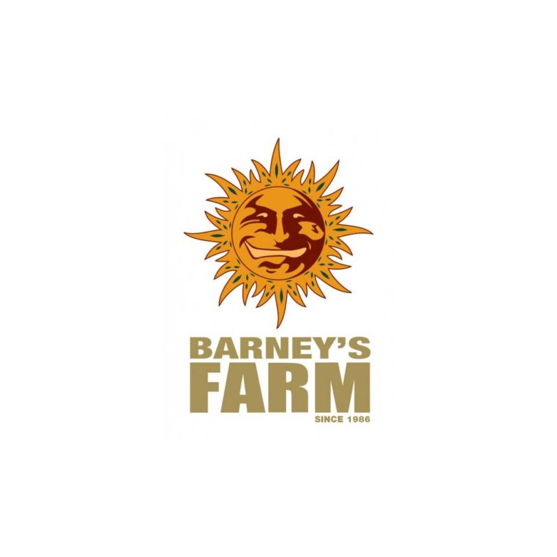 Barney's Farm Seed's - Urban CBD